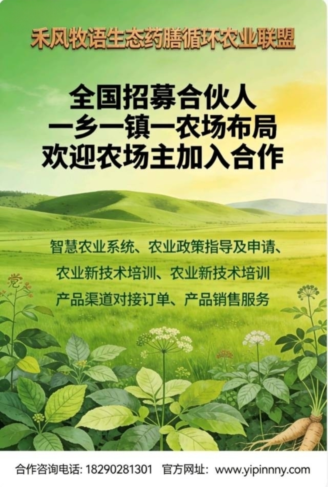 IMG_20251207_195346.jpg IMG_20251207_195346.jpg